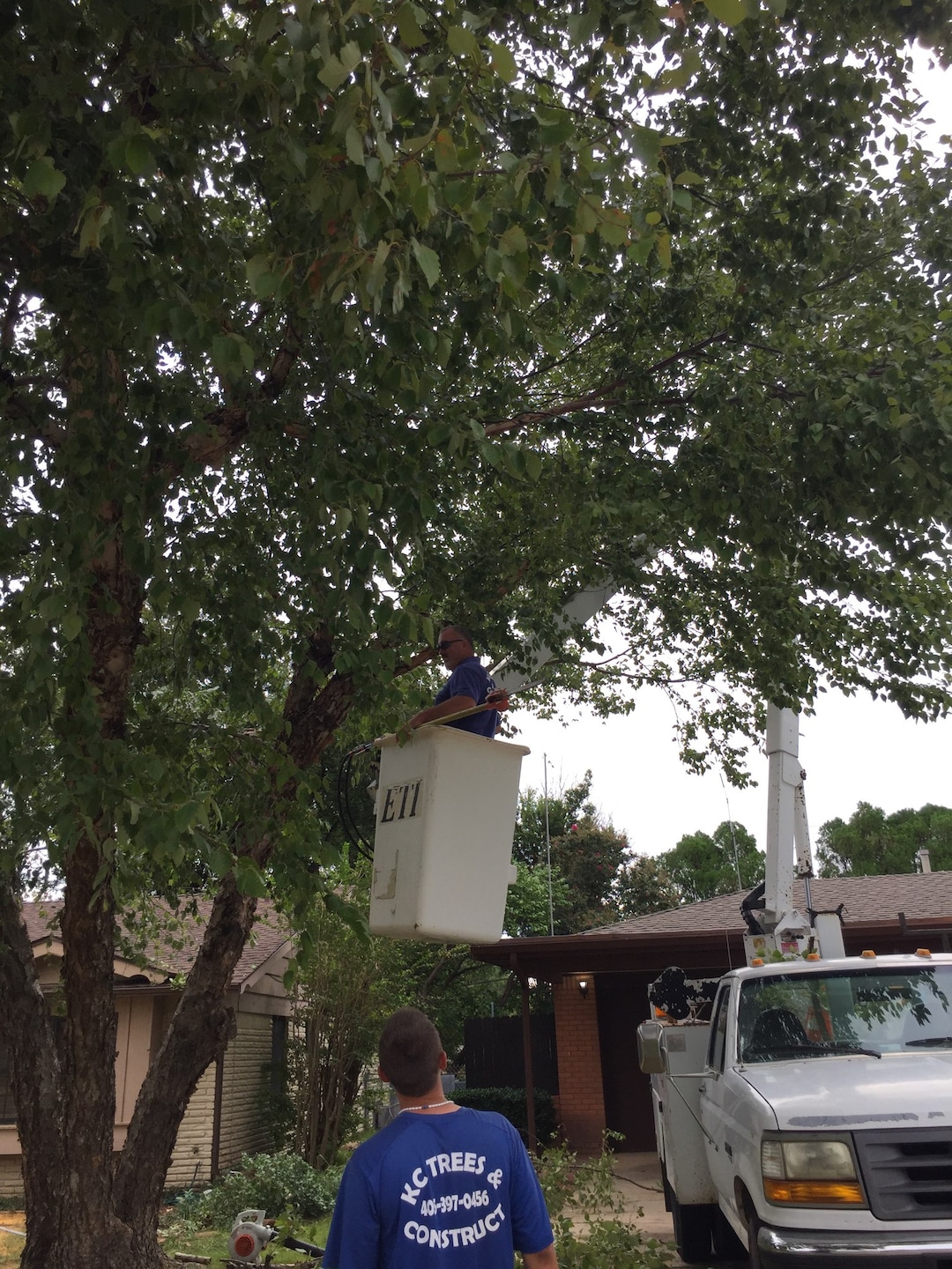KC Trees & Construct in Oklahoma City, OK