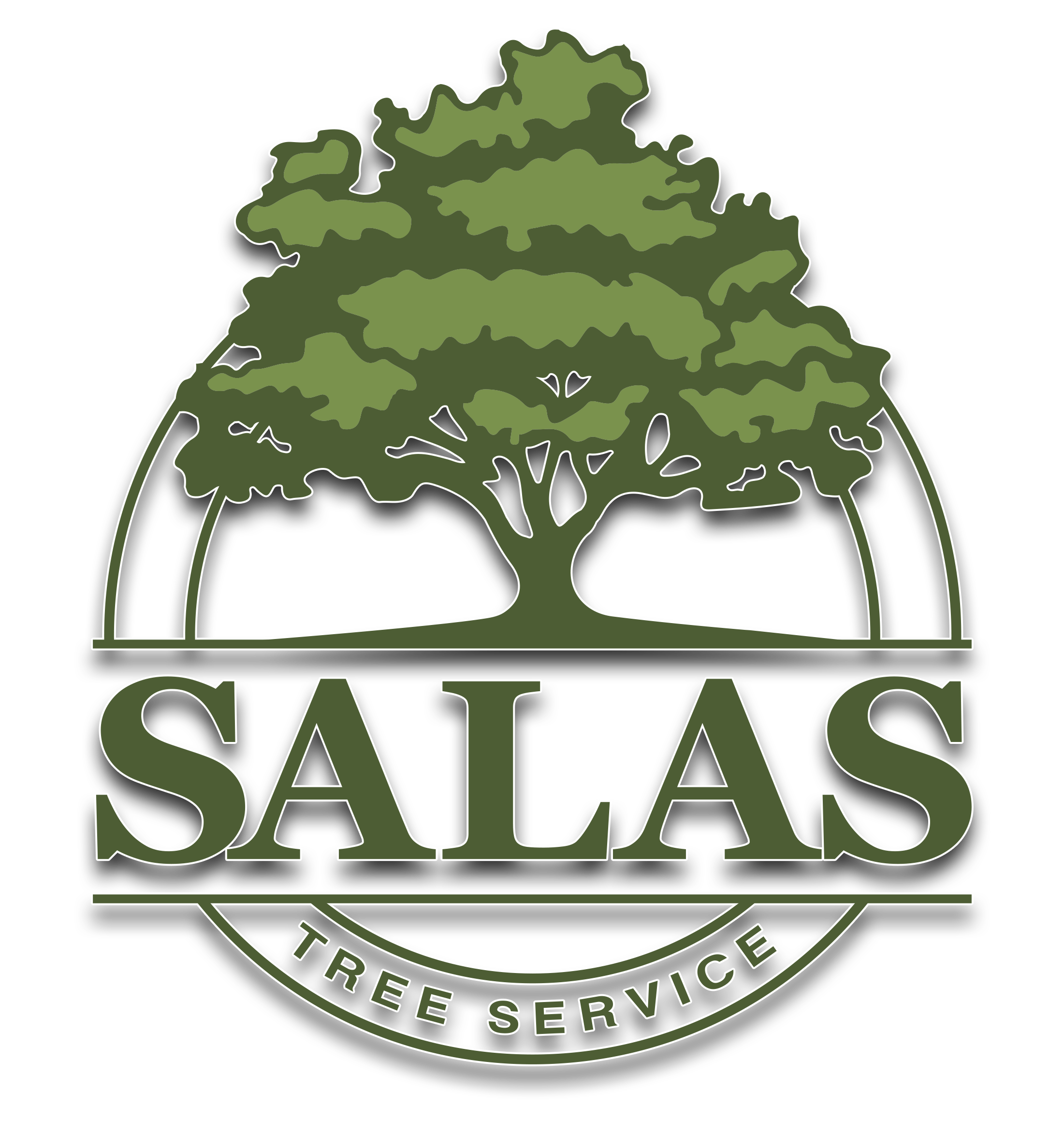 Salas Tree Service Llc in Bethany, OK