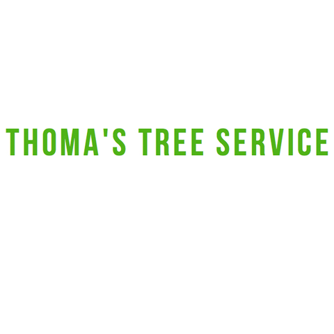 Thoma's Tree Service in Wheaton, IL
