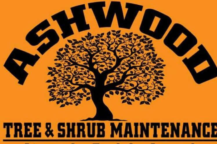 Ashwood Tree Shrub Maintenance  in Springfield, OH