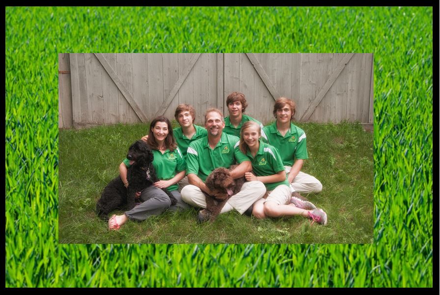 Be Green Pro LLC in Delafield, WI