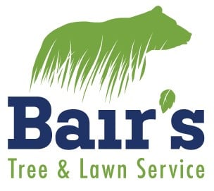 Bair's Tree & Lawn Service in Sellersville, PA