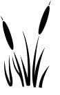 Cattail LTD in Perkasie, PA