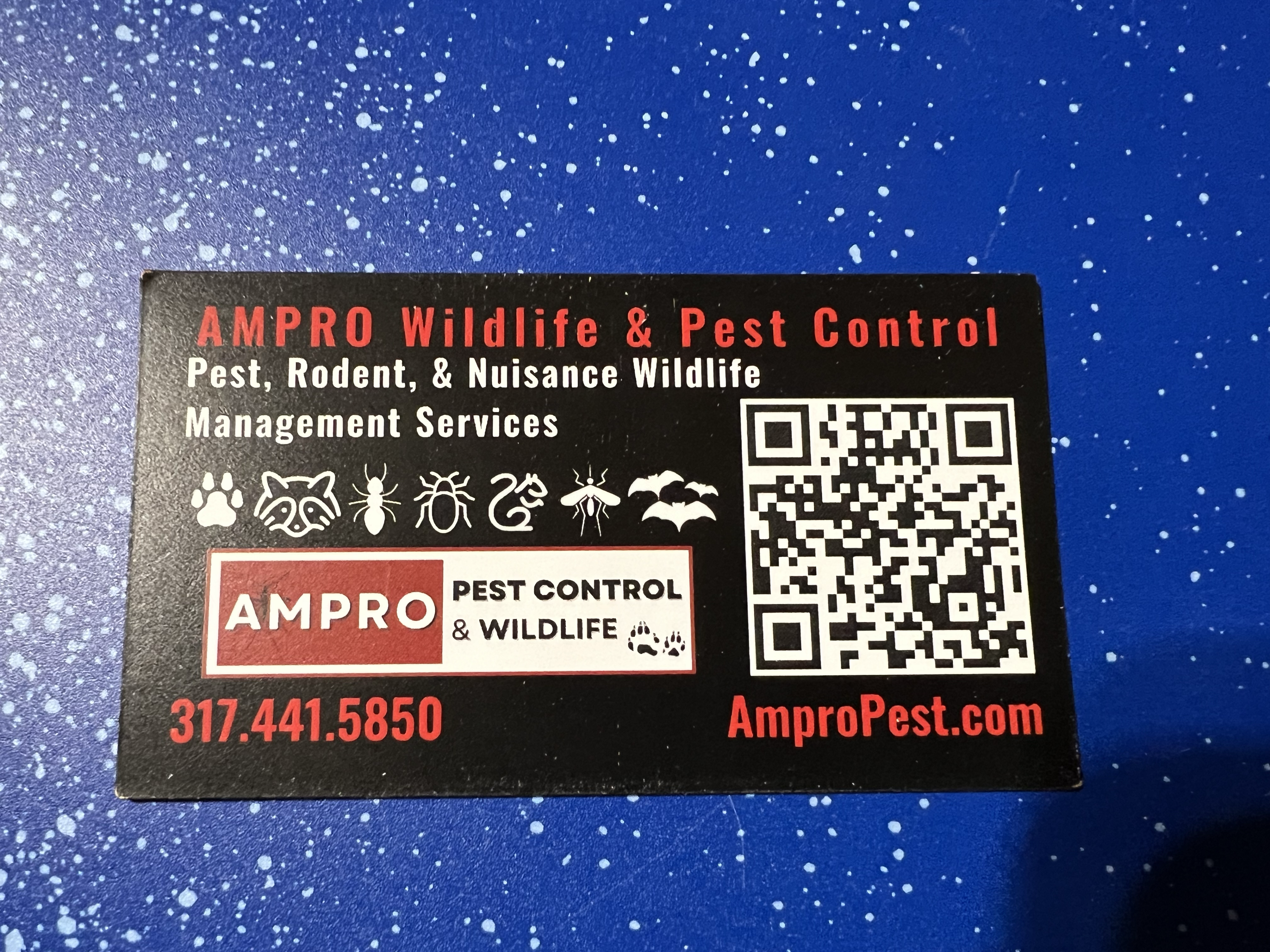 Ampro Pest Control in Plainfield, IN