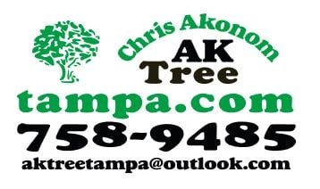 AK Tree Service in Buford, GA