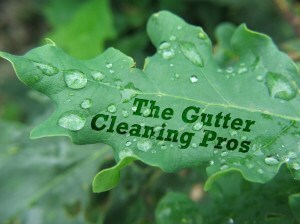 Indianapolis Gutter Cleaning in Indianapolis, IN