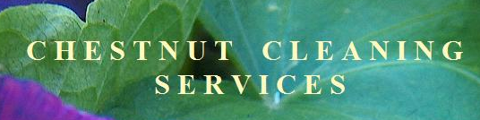 Chestnut Cleaning Service in Chicago, IL