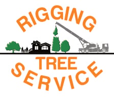 Rigging Tree Service in Raleigh, NC