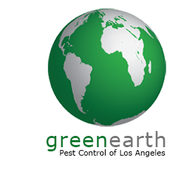 Green Earth Pest Control of Los Angeles in Santa Monica, CA