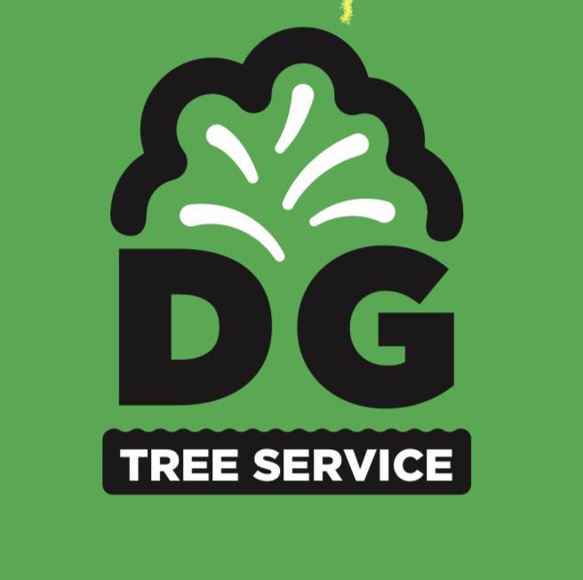 DG Tree Service in Ames, IA