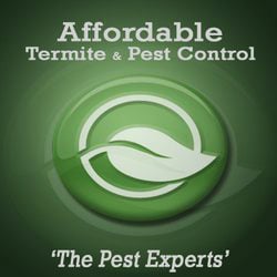 Affordable Termite & Pest Control in Bloomington, IN