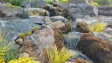 Terra Firma Landscape Management, Inc. in Grants Pass, OR