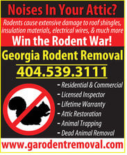 Georgia Rodent Removal in Monroe, GA