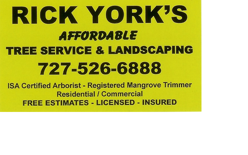 Rick York's Affordable Tree Service & Landscaping in Saint Petersburg, FL