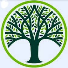 Premier Tree Service, Corp. in Tampa, FL