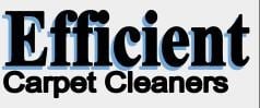 Efficient Carpet Cleaners Inc in Salem, OR