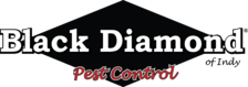 Black Diamond Of Indy, Inc. in Indianapolis, IN