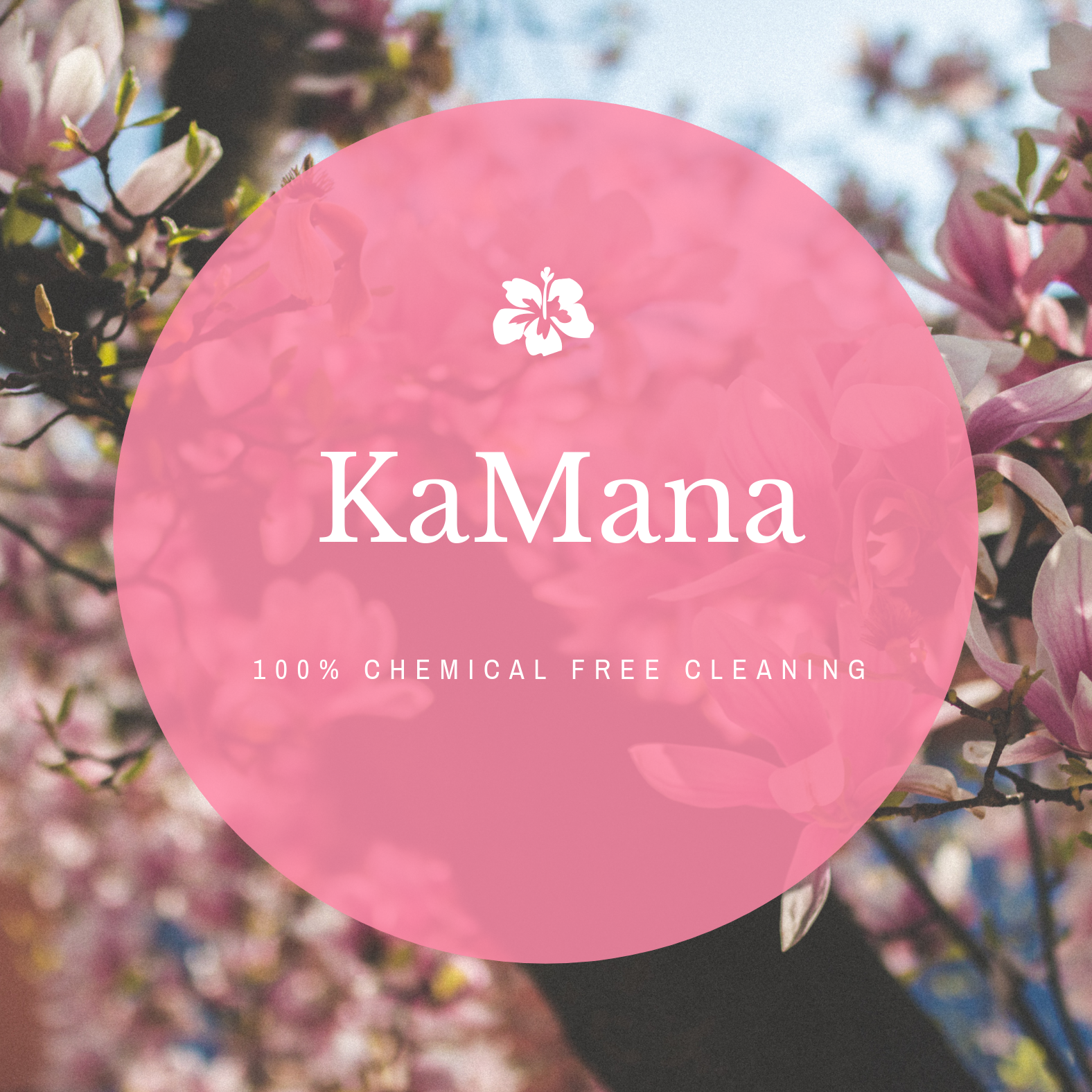 KaMana Cleaning in Peoria, IL