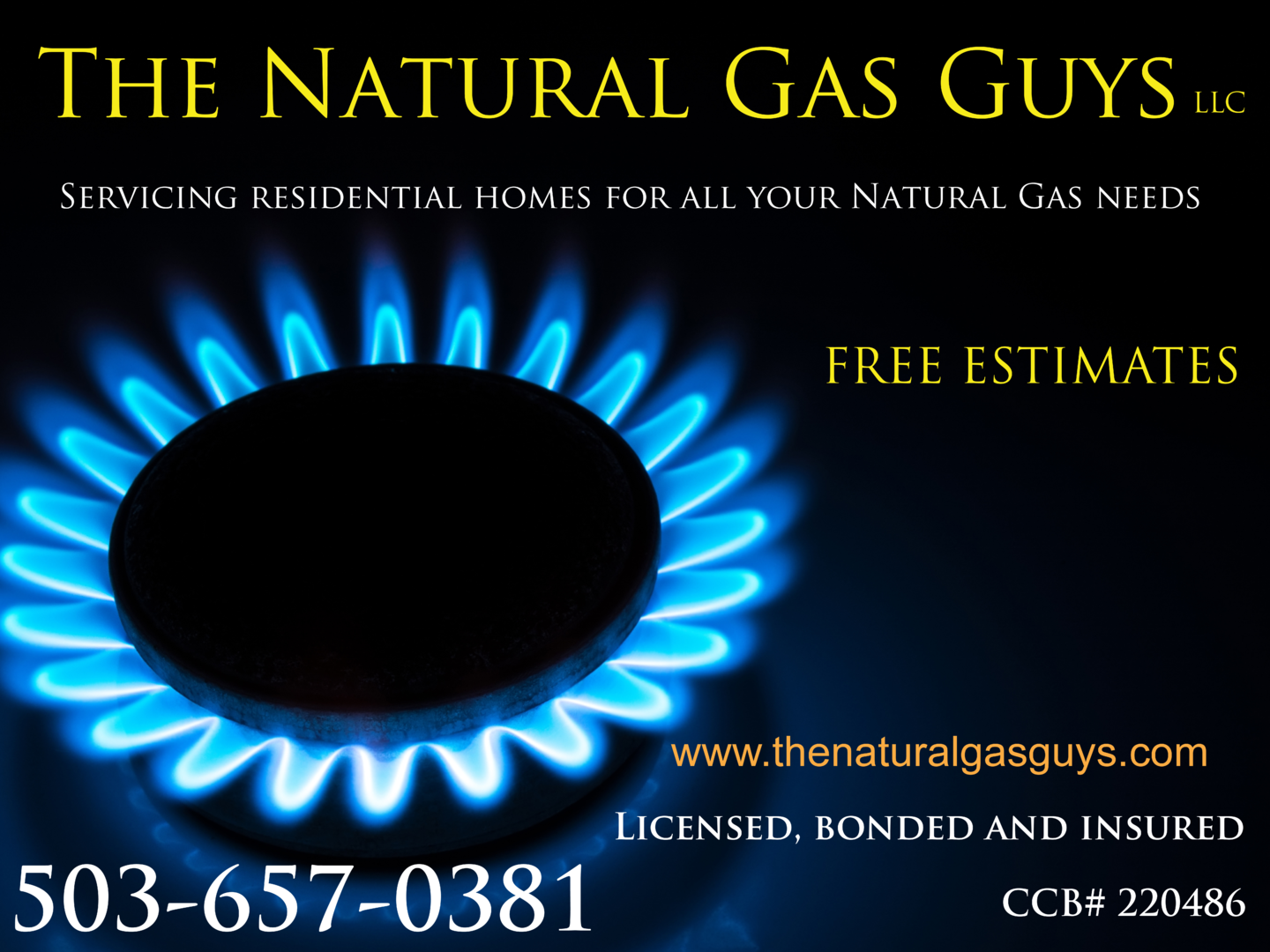 The Natural Gas Guys Llc in Oregon City, OR