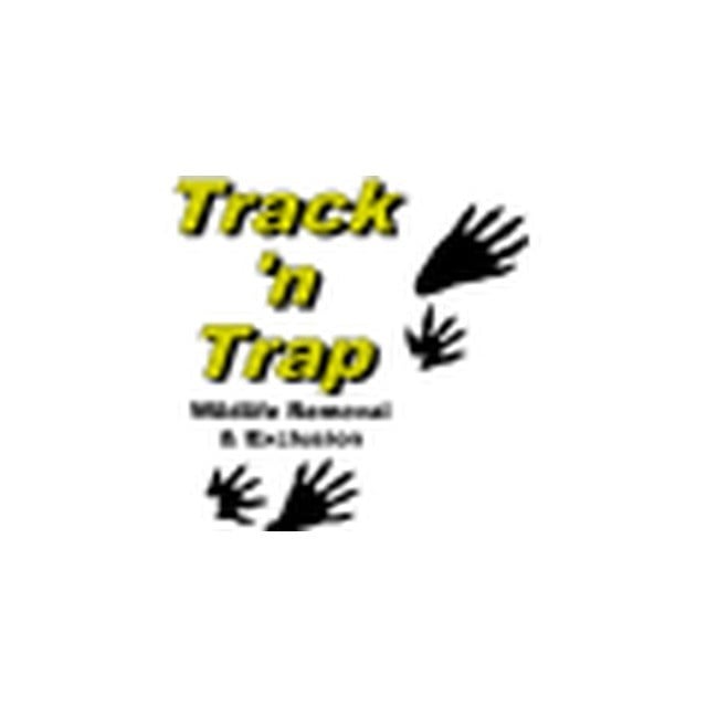 Track 'n Trap in Frankfort, IL