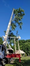 Affordable Tree Services in Goshen, OH