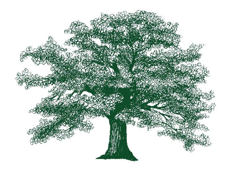Southern Oregon Tree Care LLC in Central Point, OR