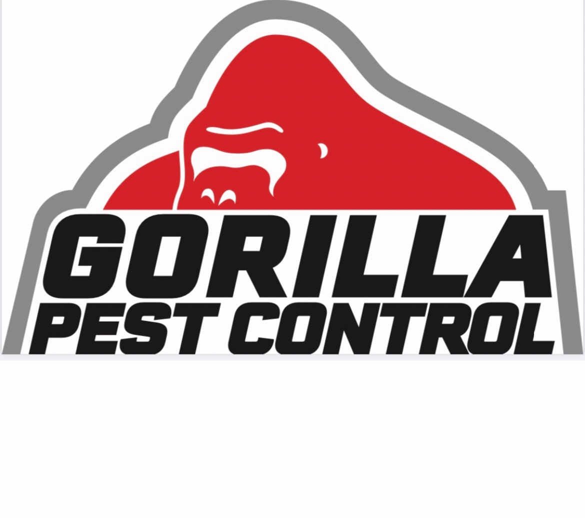 Gorilla Pest Control in Los Angeles, CA