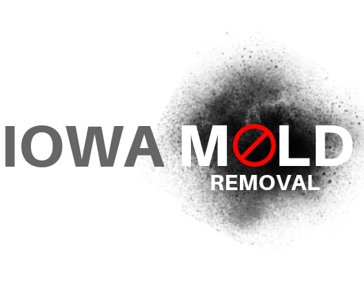 Iowa Mold Removal, LLC in West Des Moines, IA