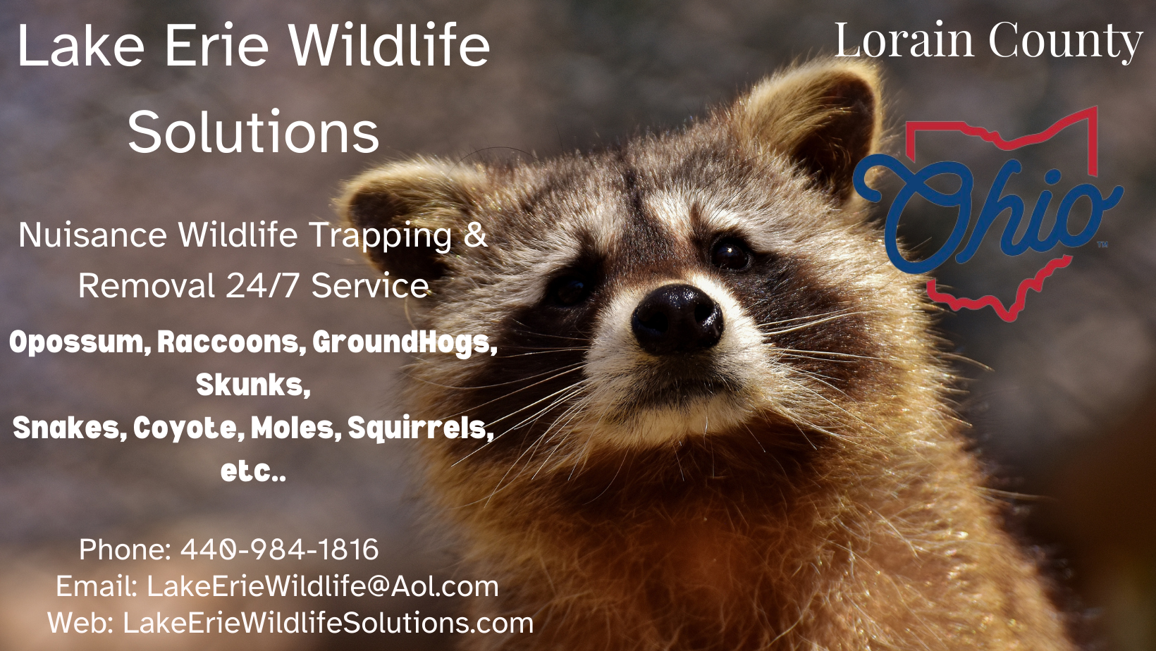 Lake Erie Wildlife Solutions in Amherst, OH