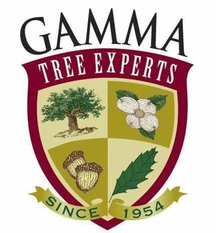 Gamma Tree Experts in Saint Louis, MO
