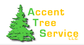 Accent Tree Service LLC in Auburn, WA