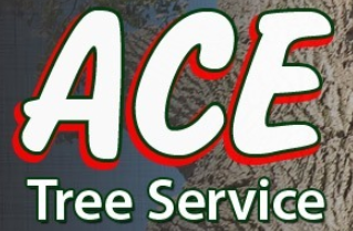Ace Tree Service Llc in Bellevue, WA