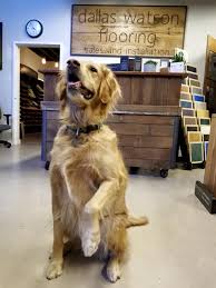 Dallas Watson Flooring in Seattle, WA