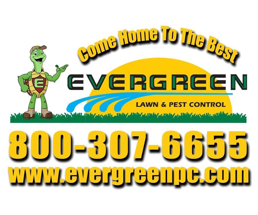 Evergreen Lawn & Pest Control in Apopka, FL