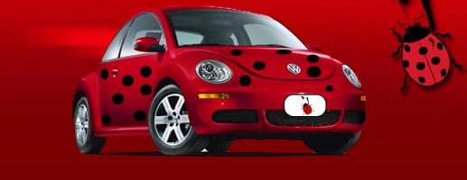 Lady Bug Exterminating Co Inc in Chattanooga, TN