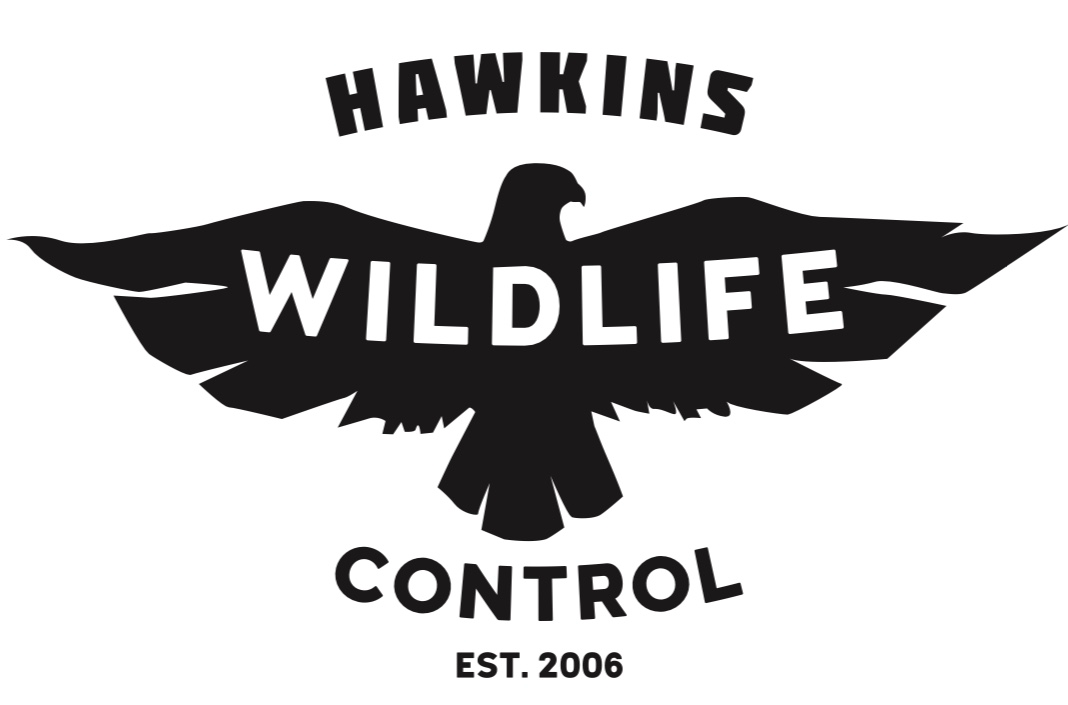 Hawkins Wildlife Control LLC in Chatsworth, GA