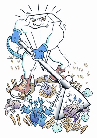 Diamond Carpet Care in Orange, CA