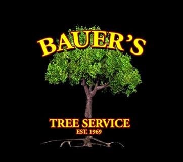 Bauer's Tree Service in Ewing, NJ