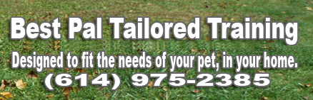 Best Pal Tailored Dog Training in Columbus, OH