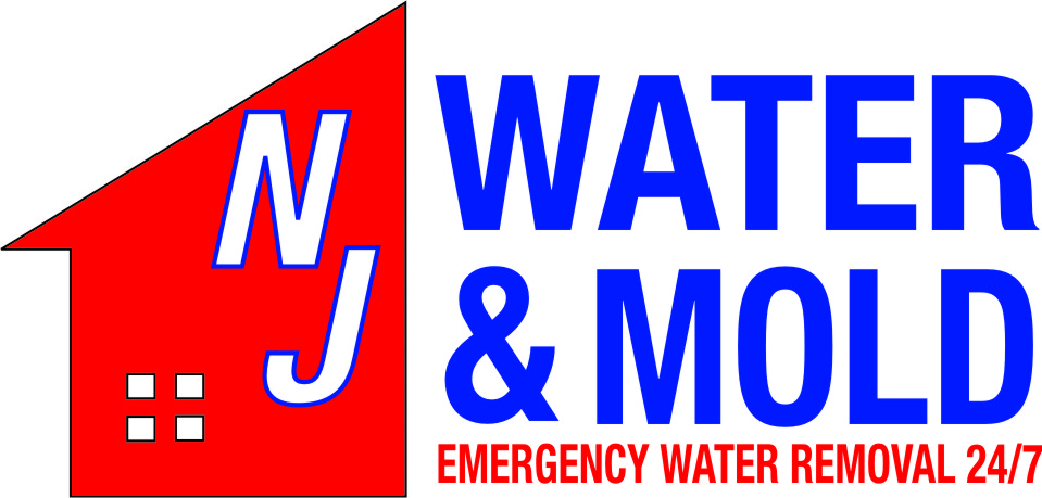 NJ Water and Mold, LLC. in Ridgefield, NJ