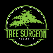 Tree Surgeon Atlanta, Llc in Buford, GA
