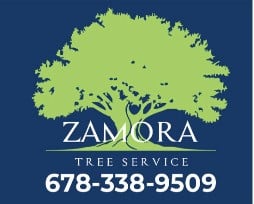 Zamora Tree Service in Lawrenceville, GA