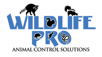 Wildlife Pro in Maumee, OH