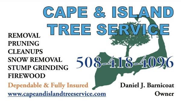 Cape & Island Tree Service in Centerville, MA