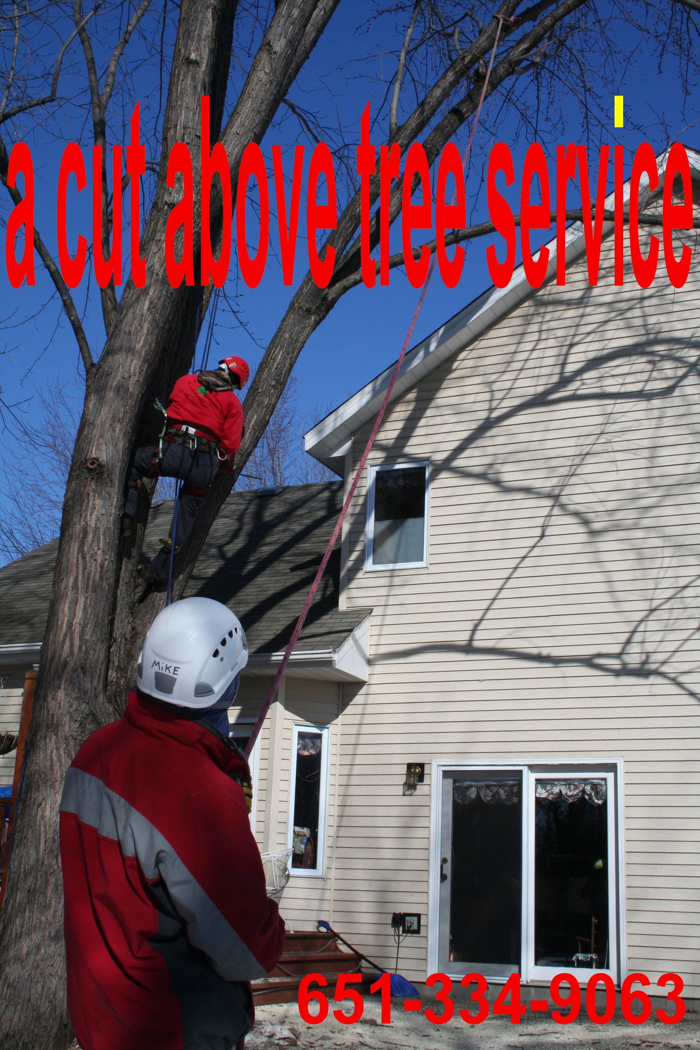 A Cut Above Tree Service in Saint Paul, MN
