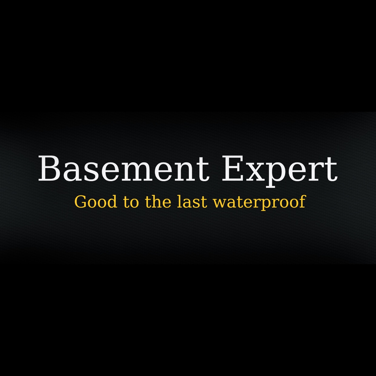 Basement Expert in Lynnwood, WA
