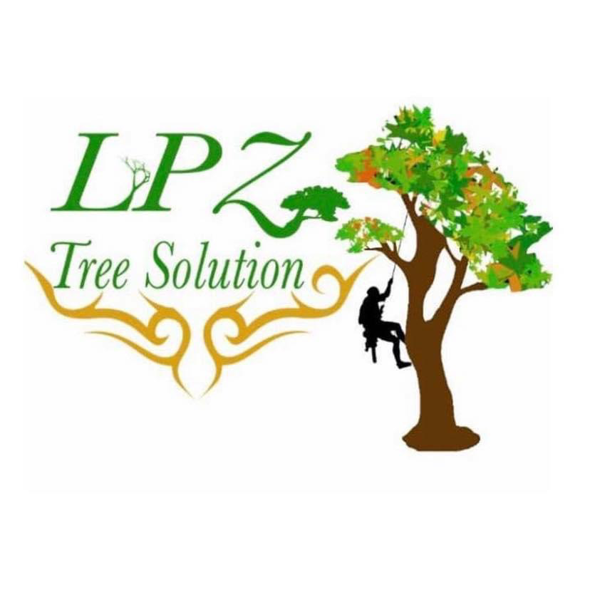 LPZ Tree Solution in Temple Hills, MD