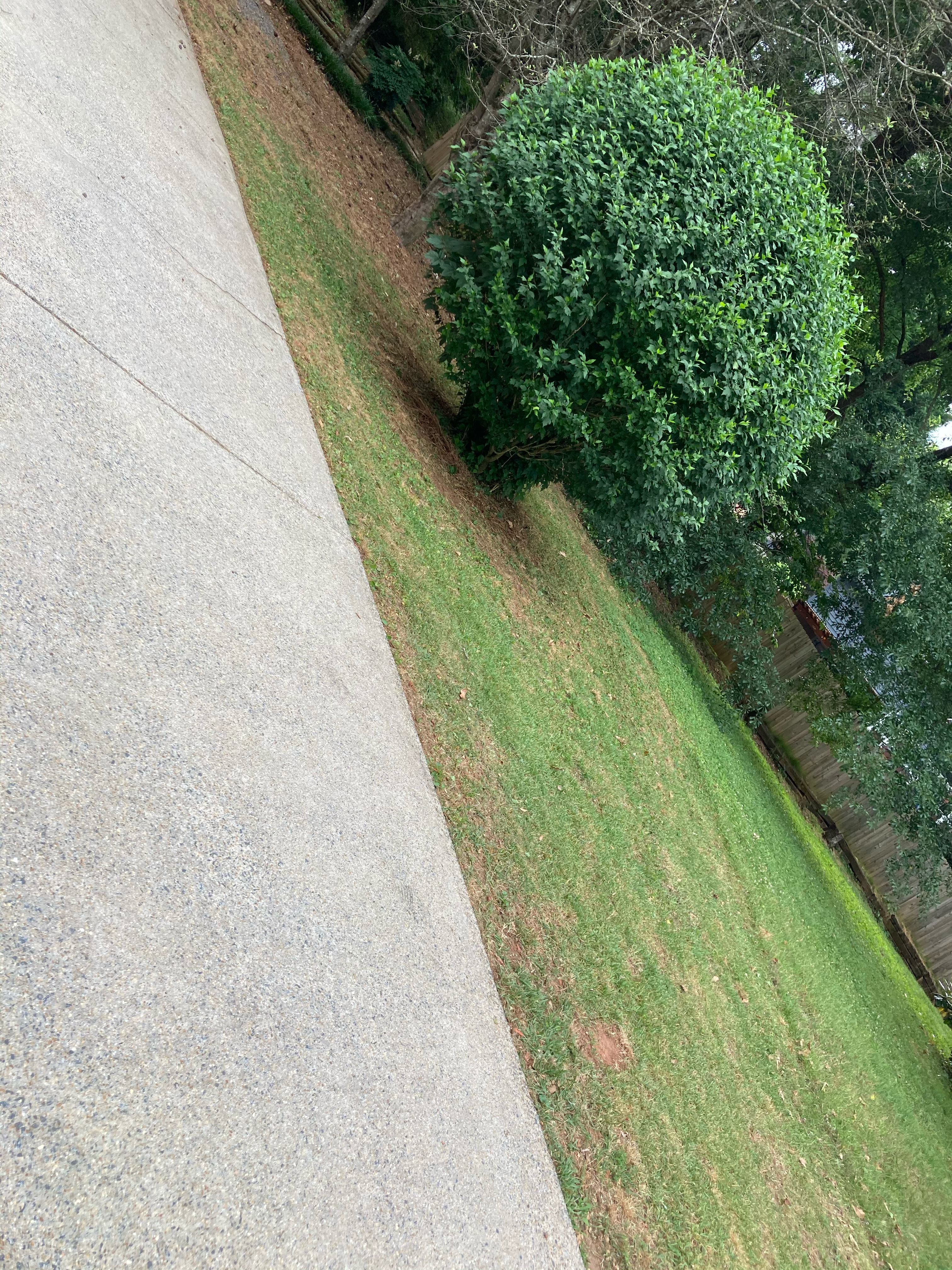 Sol lawn care in Norcross, GA