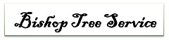 Bishop Tree Service in Andover, ME
