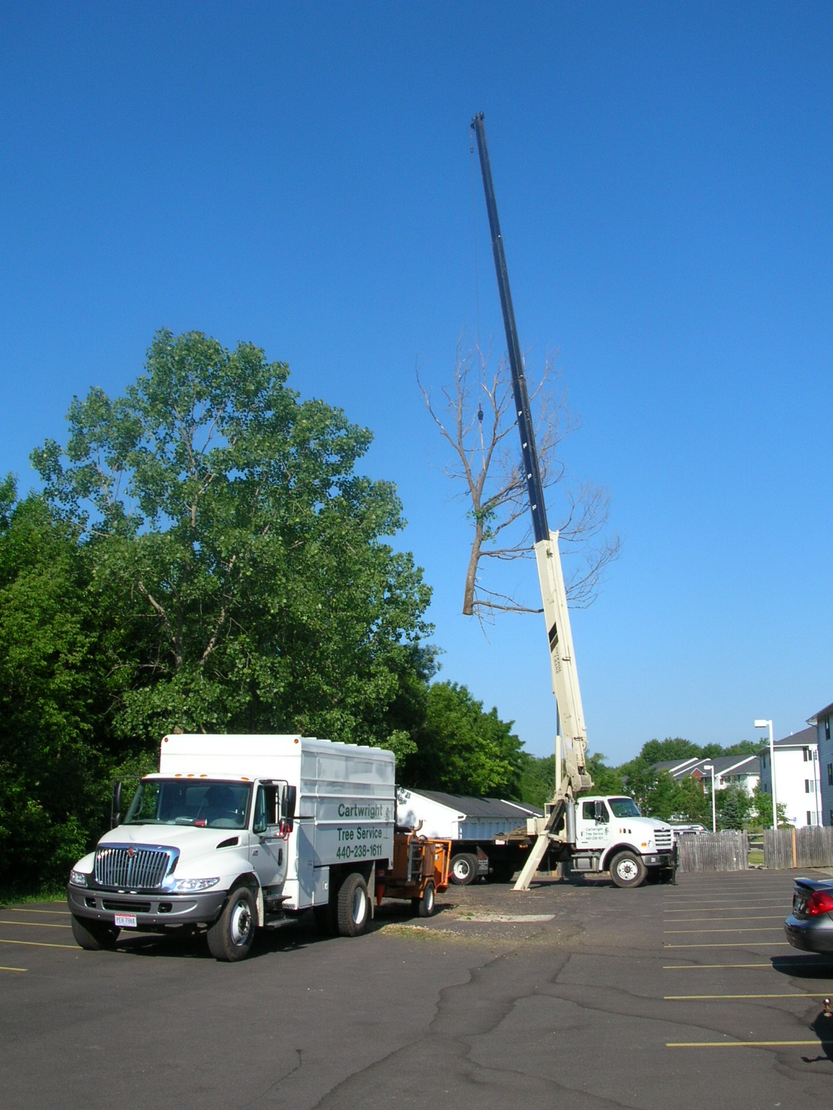Cartwright Tree Service Inc in Strongsville, OH